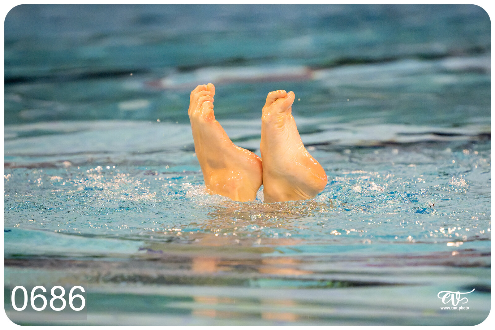 CHAMPIONNAT DE FRANCE DE NATATiON ARTISTIQUE N1 & ELITE 2026